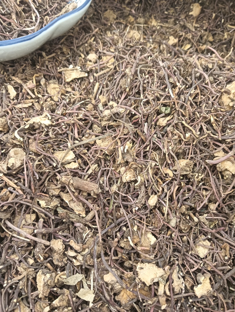 紫苑实拍紫苑欢迎选购量大优惠批发各种中药材