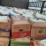 【精品】山东精品水果黄瓜产地直发现摘现发对接商超档口