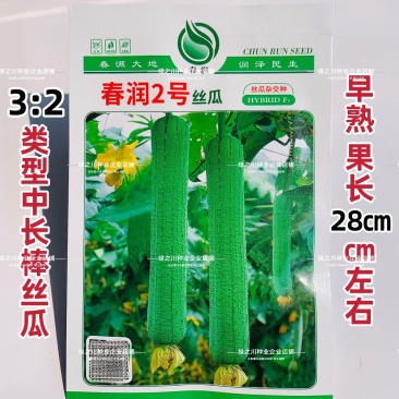 春润2号丝瓜种子早熟种子高产中长棒型香丝瓜种籽节节有瓜