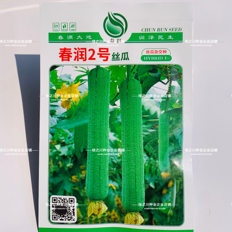 春润2号丝瓜种子早熟种子高产中长棒型香丝瓜种籽节节有瓜