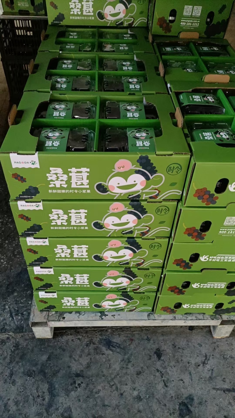 德昌桑椹果