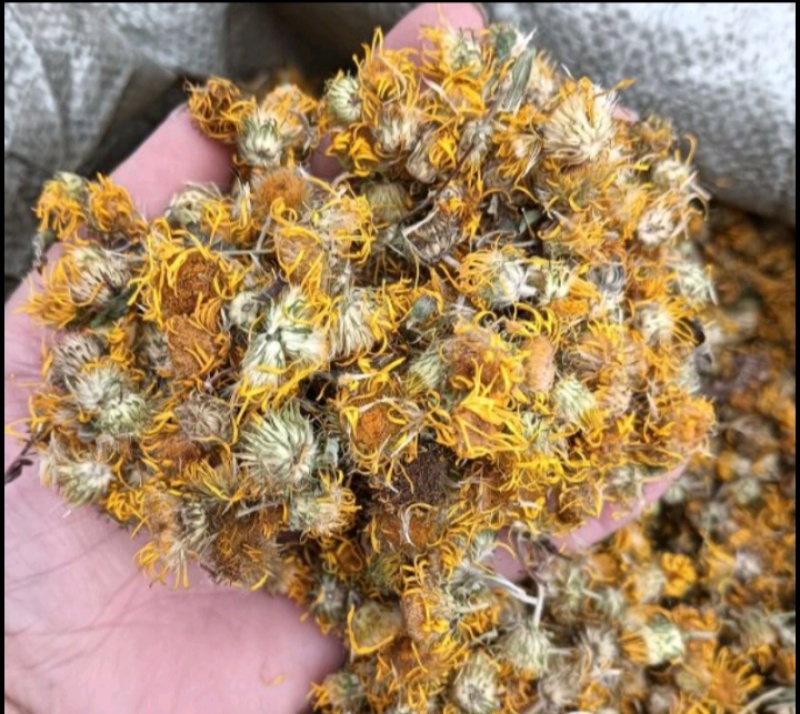 【旋覆花】金钱花伏花现货供应批发各种中药材