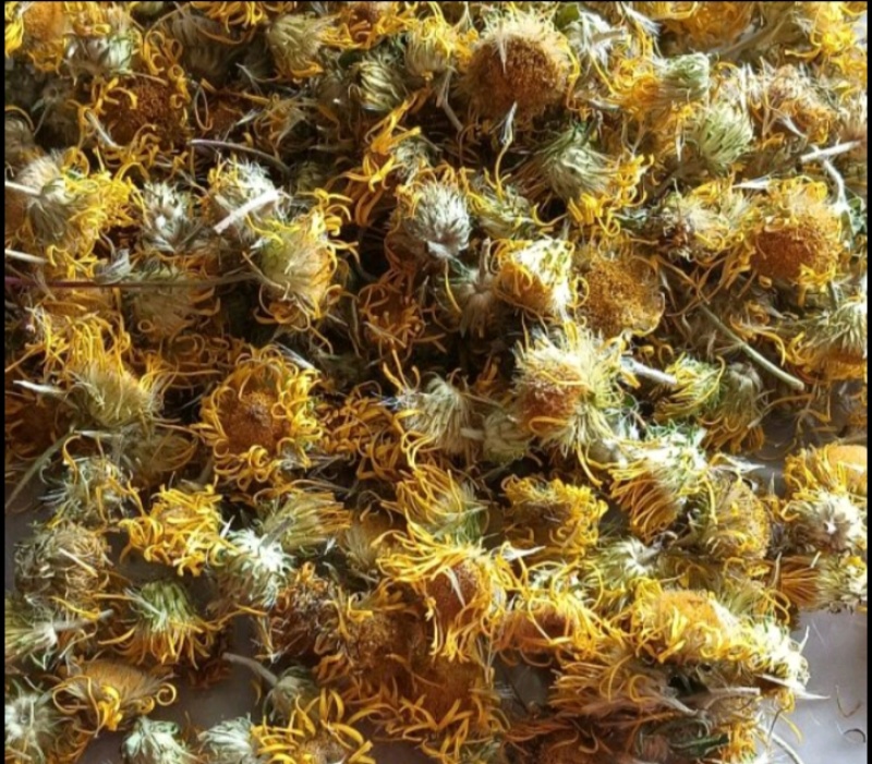 【旋覆花】金钱花伏花现货供应批发各种中药材