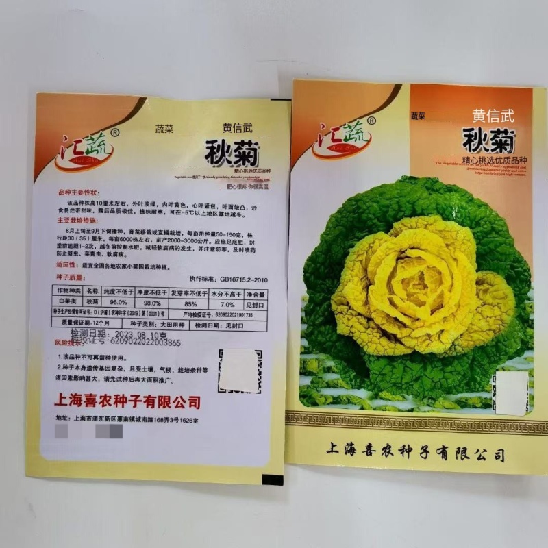 秋菊黄心乌种子乌塌菜耐寒秋冬蔬菜种子菊花菜籽