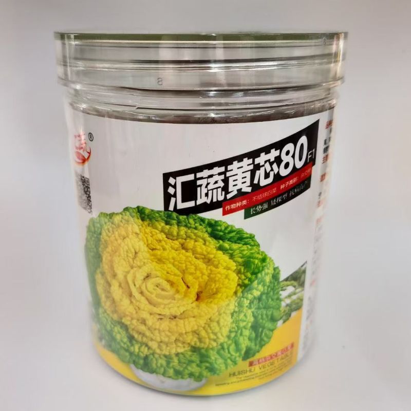 汇蔬黄心80乌塌菜白菜种籽高产耐寒春秋播矮脚白梗黄心乌菜
