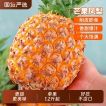 海南芒果凤梨新鲜采摘比金钻更甜支持一件发各大电商