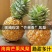 海南芒果凤梨新鲜采摘比金钻更甜支持一件发各大电商