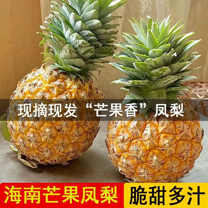 海南芒果凤梨新鲜采摘比金钻更甜支持一件发各大电商