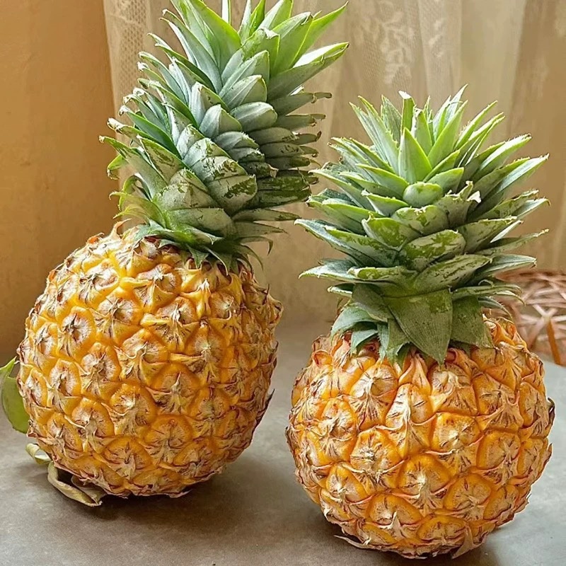 海南芒果凤梨新鲜采摘比金钻更甜支持一件发各大电商