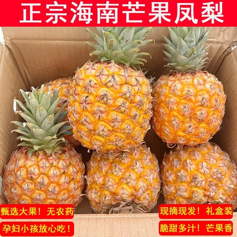 海南芒果凤梨新鲜采摘比金钻更甜支持一件发各大电商