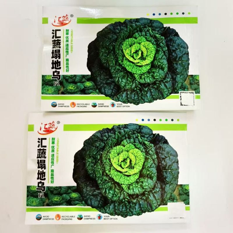 汇蔬塌地乌白菜种子株型矮小束腰梗白色外叶黑绿芯叶微黄耐寒