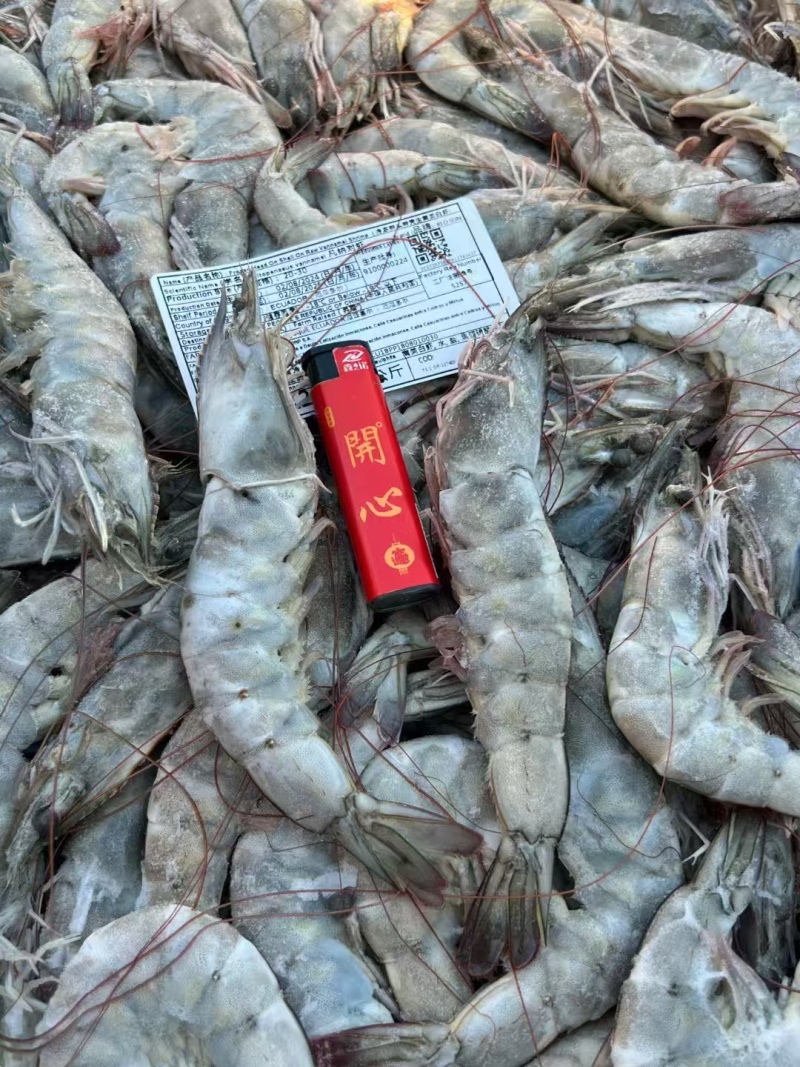 黑虎虾