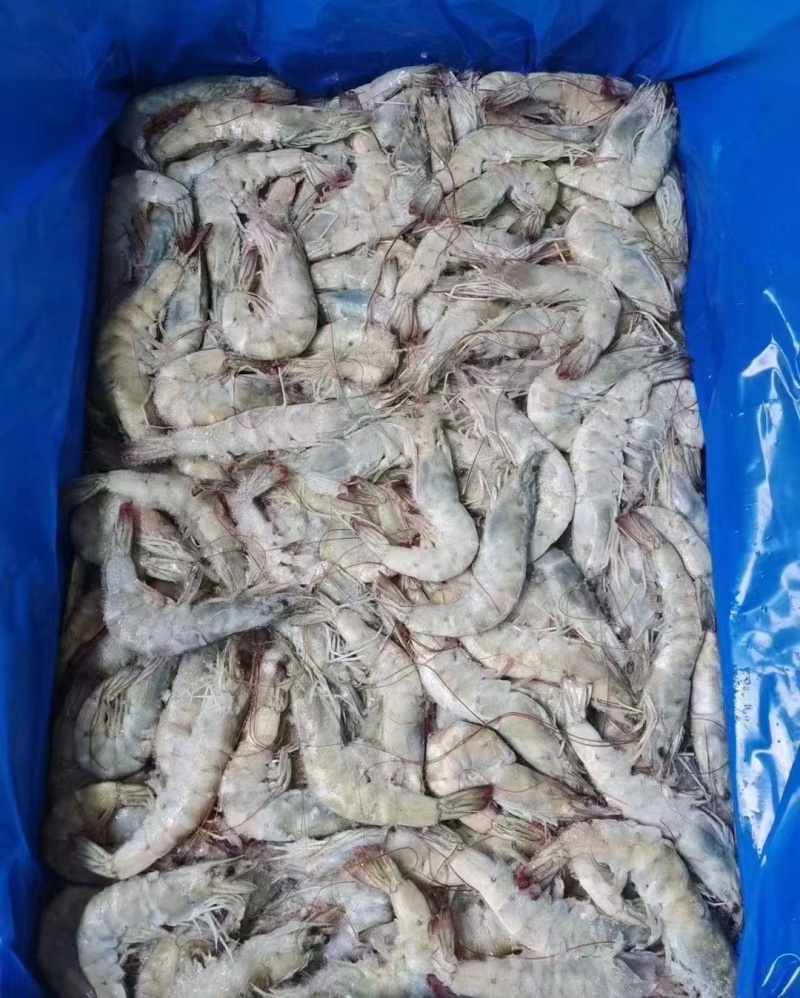 黑虎虾