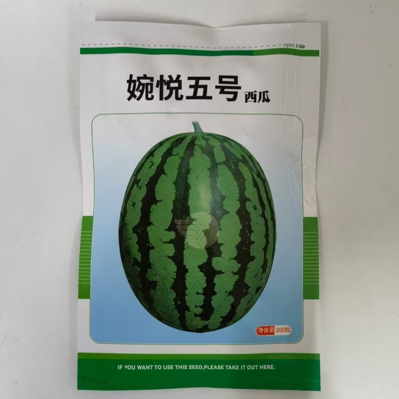 婉悦5号西瓜种子早中熟红壤高圆大果型薄皮耐裂西瓜无籽