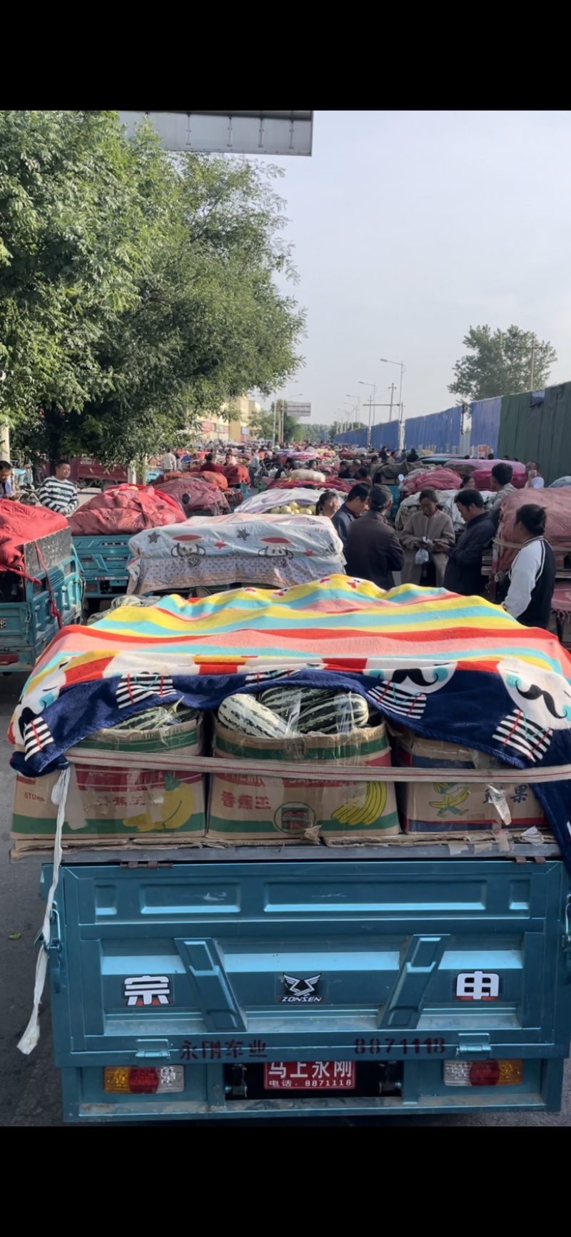【源头直采】博洋9号产地一级市场一条龙服务资源配套齐全