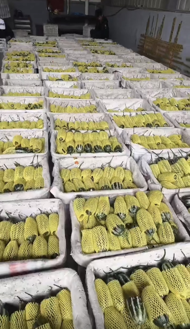 【源头直采】博洋9号产地一级市场一条龙服务资源配套齐全