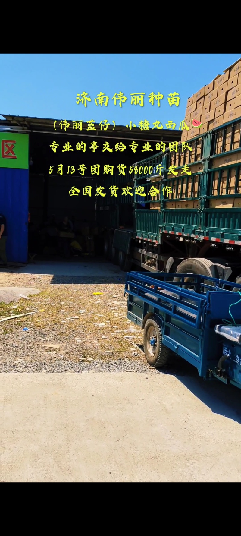 潍坊全美2K西瓜小糖丸西瓜手剥皮西瓜冰淇淋西瓜