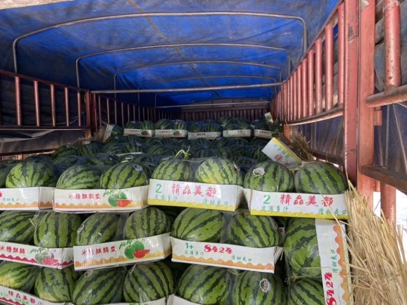 美都西瓜一手货源，产地直发，价格优惠，欢迎采购