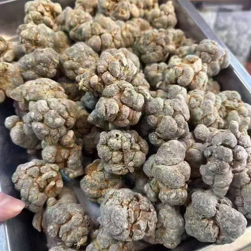 长期有货的正宗三七24小时在线服务品质出众