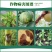 20%辛菌胺醋酸盐病毒病黑胫病猝倒病青枯病腐烂病杀菌剂