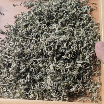 甘露茶叶