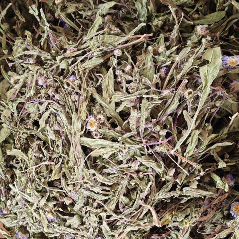 灯盏花