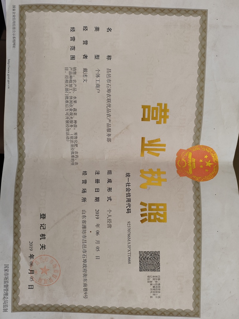 洋葱紫皮水果型，微辣微甜，口感特别好，5.10号上市。