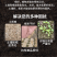 有机水溶肥抗盐抗碱促根壮苗小肽全水溶