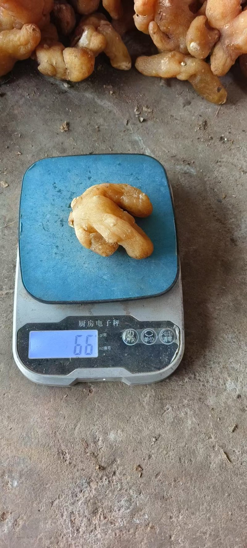 黄精
