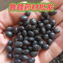 绿心黑豆黑豆实物实拍量大优惠欢迎选购批发零售