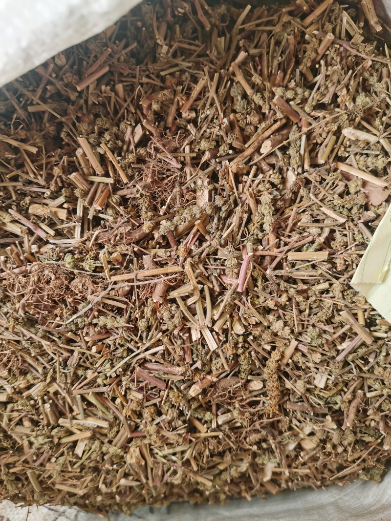 荆芥