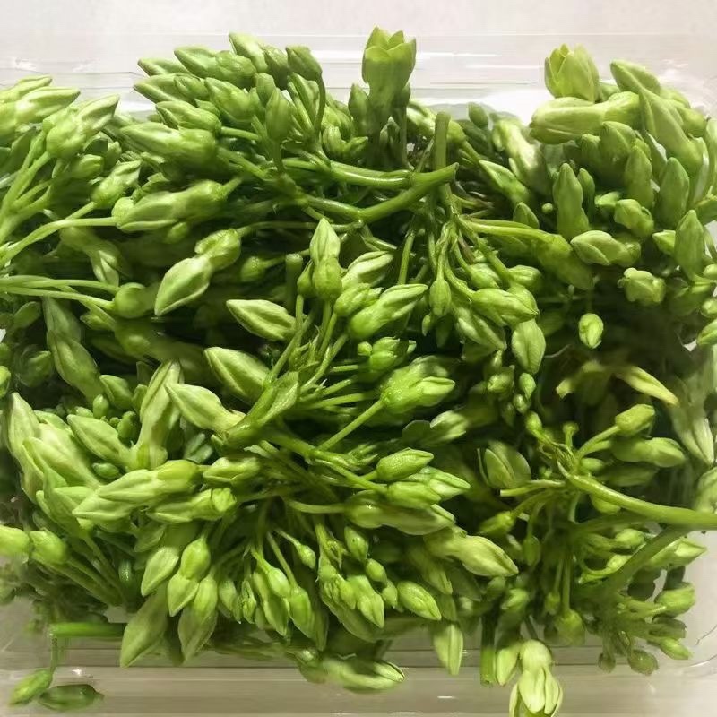 夜香花