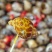 厂家直供，麻辣花螺，麻辣花螺，适合各类餐饮行业朋友们