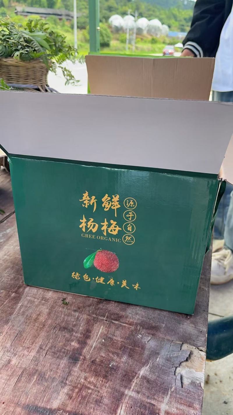 精品杨梅大量供应产地直发品质保证量大从优