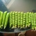 湖北露天新鲜豌豆角大量上市