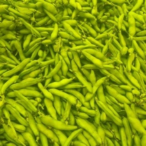 大理蚕豆大量上市中，质量保证