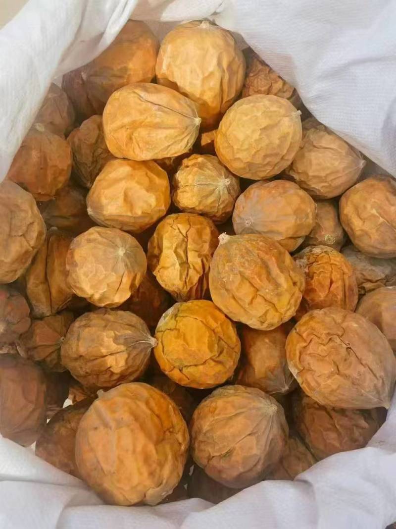 瓜蒌瓜蒌个子全瓜蒌整车发货，团购电商代发