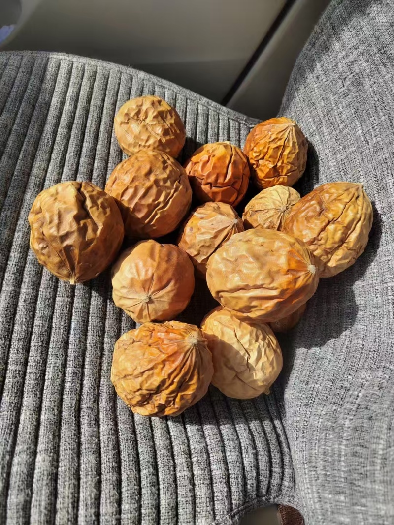 瓜蒌瓜蒌个子全瓜蒌整车发货，团购电商代发