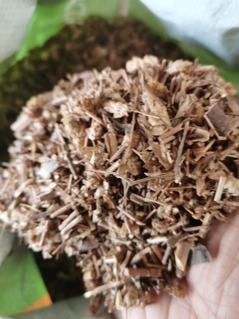 香茹草