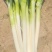 山东大葱自己种植自己销售无代办费