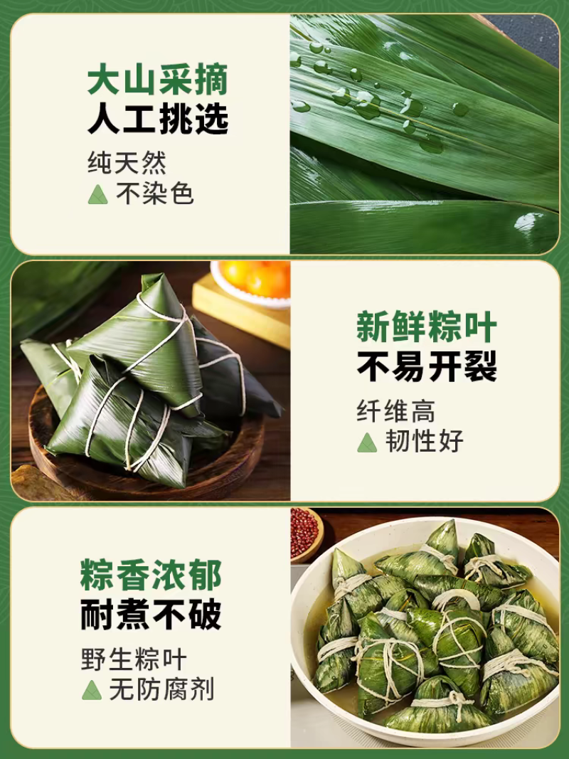 端午粽叶真空包装粽子叶新鲜湿竹叶