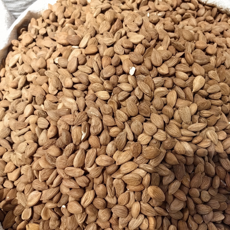 甜杏仁食用杏仁各种规格