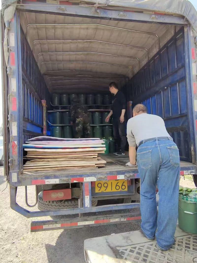 唐山滦州旱黄瓜水果黄瓜大量上市现摘现发价格实惠全国发