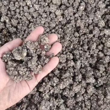 家种中药猫爪草水洗干货量大从优品质保证清洗两遍后
