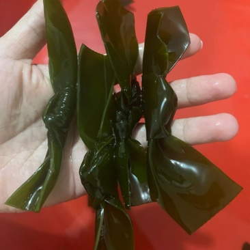 海带丝，海带结