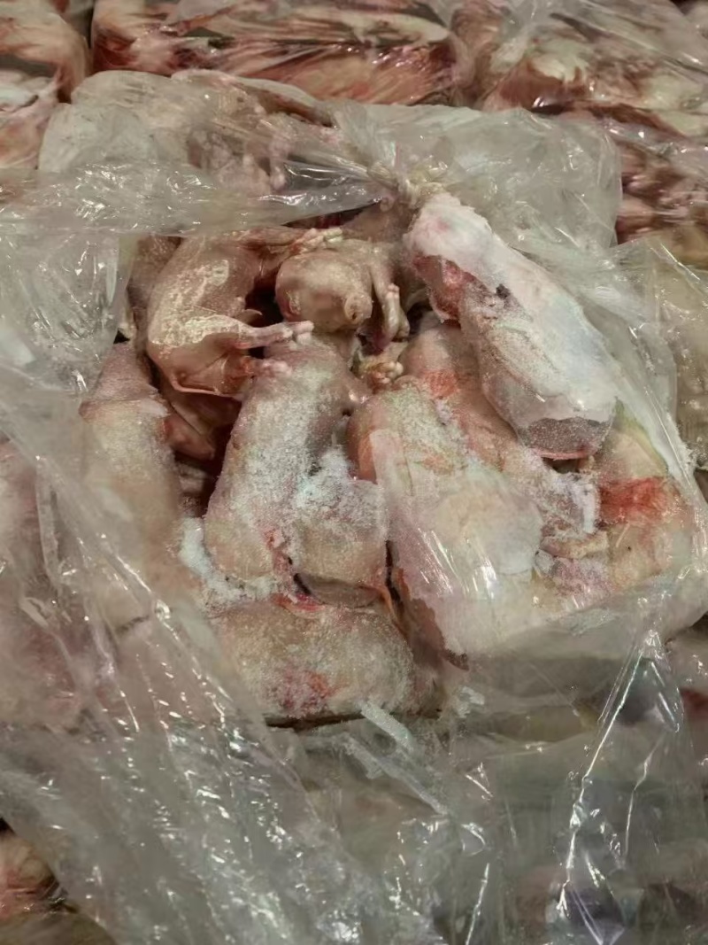 胎猪。一手货源，纯干无水，常年供应，价格合理优质水产饲料