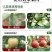 80%乙蒜素苹果树褐斑病农药杀菌剂乳油低毒除青苔烂秧病