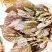 云南山野菜，野生牛奶叶，野生无花果嫩叶，