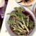 云南山野菜，野生牛奶叶，野生无花果嫩叶，