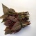 云南山野菜，野生牛奶叶，野生无花果嫩叶，